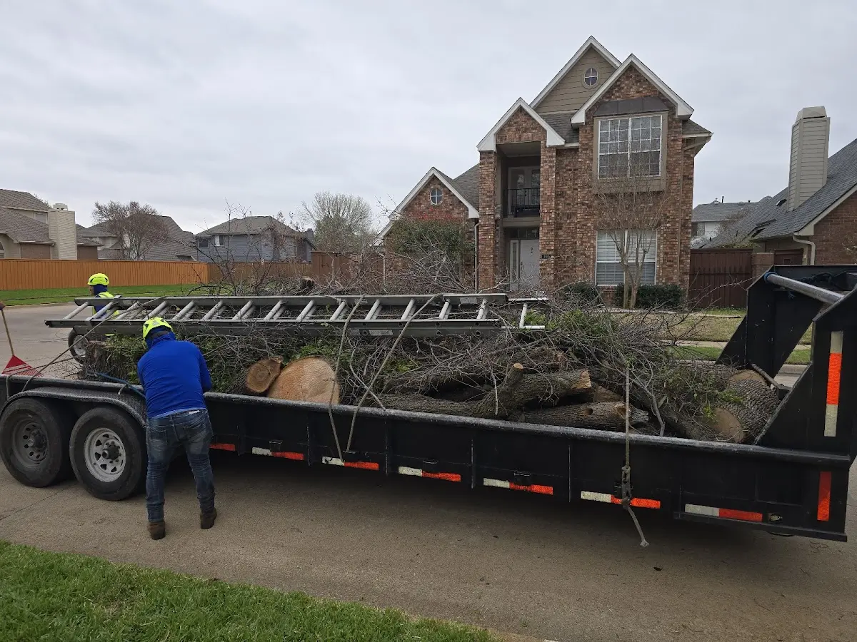 Expert Tree Removal with proper safety equipment in Walworth